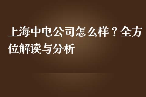 上海中电公司怎么样？全方位解读与分析_https://m.jnlaobingbanjia.com_股市新闻_第1张