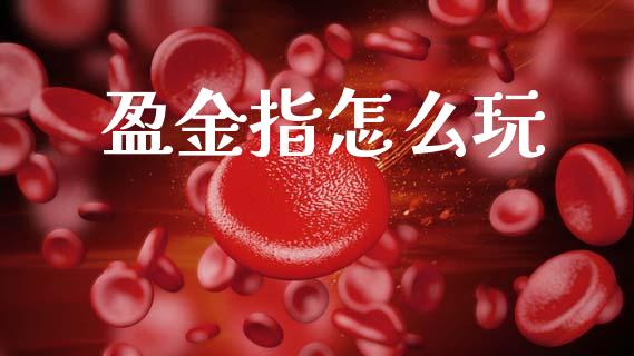 盈金指怎么玩_https://m.jnlaobingbanjia.com_金融监管_第1张