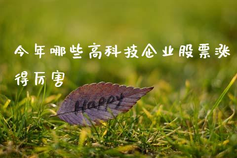 今年哪些高科技企业股票涨得厉害_https://m.jnlaobingbanjia.com_理财规划_第1张