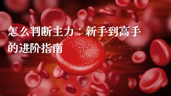 怎么判断主力:新手到高手的进阶指南_理财规划_第1张_全球市场_股市新闻_理财规划_金融监管_区块链_基金市场 怎么判断主力:新手到高手的进阶指南_https://m.jnlaobingbanjia.com_理财规划_第1张