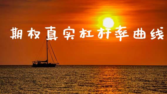 期权真实杠杆率曲线_https://m.jnlaobingbanjia.com_股市新闻_第1张