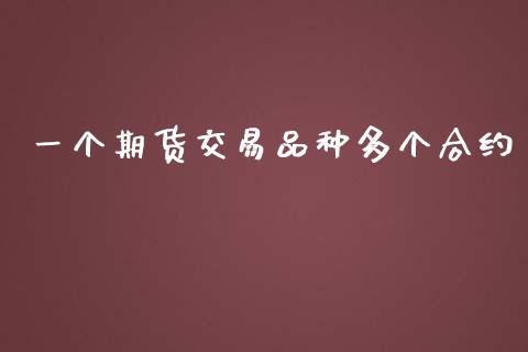 一个期货交易品种多个合约_https://m.jnlaobingbanjia.com_股市新闻_第1张