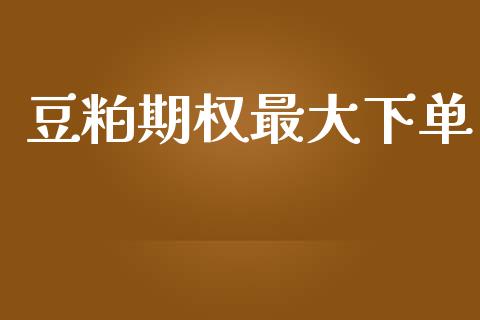 豆粕期权最大下单_https://m.jnlaobingbanjia.com_股市新闻_第1张