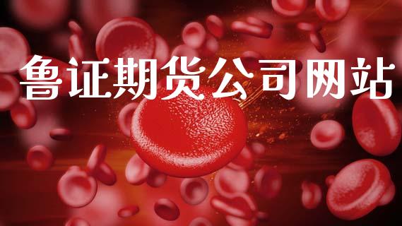 鲁证期货公司网站_https://m.jnlaobingbanjia.com_金融监管_第1张