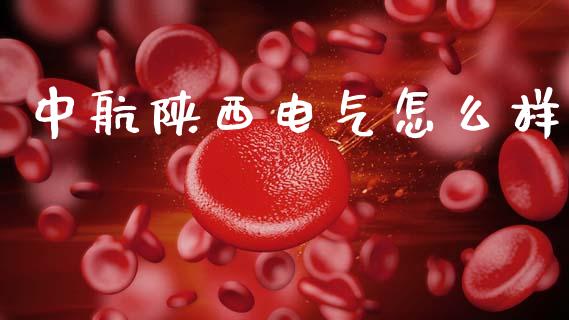 中航陕西电气怎么样_https://m.jnlaobingbanjia.com_全球市场_第1张