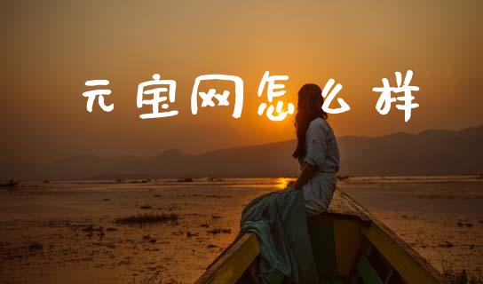 元宝网怎么样_https://m.jnlaobingbanjia.com_理财规划_第1张
