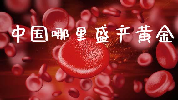 中国哪里盛产黄金_https://m.jnlaobingbanjia.com_全球市场_第1张