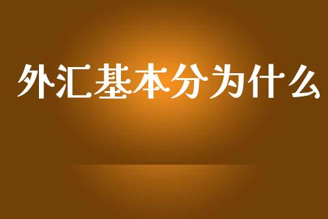 外汇基本分为什么_https://m.jnlaobingbanjia.com_全球市场_第1张