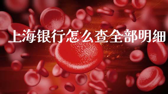 上海银行怎么查全部明细_https://m.jnlaobingbanjia.com_基金市场_第1张