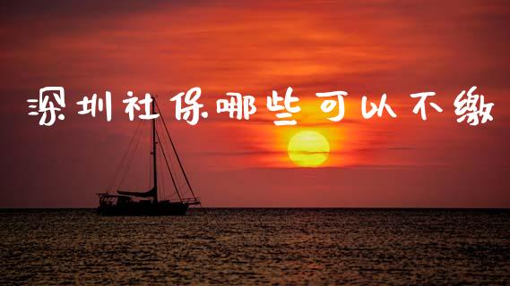 深圳社保哪些可以不缴_https://m.jnlaobingbanjia.com_区块链_第1张