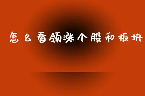 怎么看领涨个股和板块_https://m.jnlaobingbanjia.com_金融监管_第1张