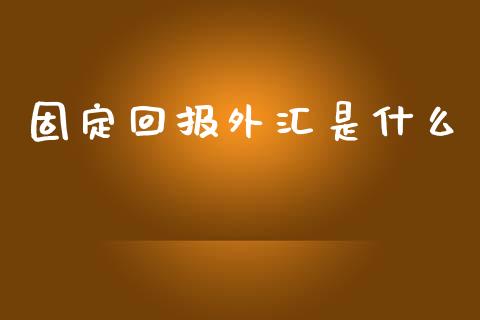 固定回报外汇是什么_https://m.jnlaobingbanjia.com_全球市场_第1张