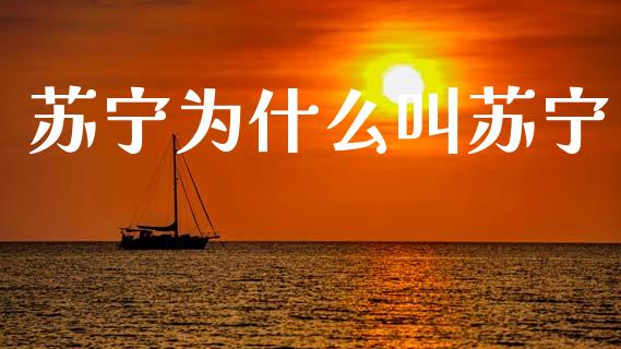 苏宁为什么叫苏宁_https://m.jnlaobingbanjia.com_全球市场_第1张
