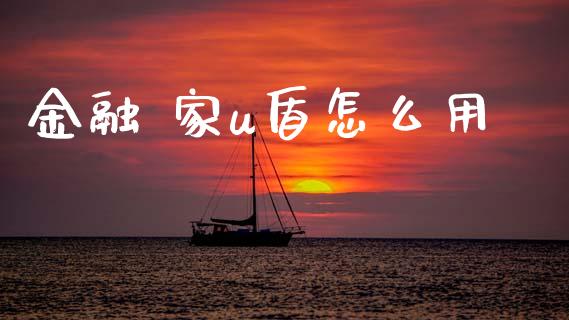 金融 家u盾怎么用_https://m.jnlaobingbanjia.com_全球市场_第1张