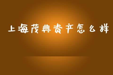 上海茂典资产怎么样_https://m.jnlaobingbanjia.com_理财规划_第1张