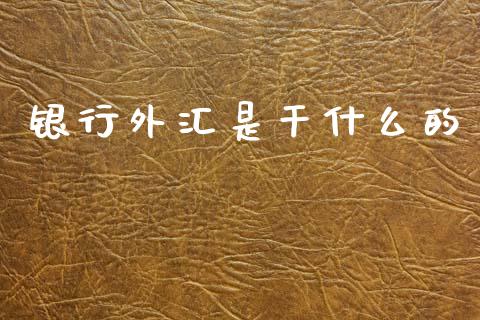 银行外汇是干什么的_https://m.jnlaobingbanjia.com_全球市场_第1张