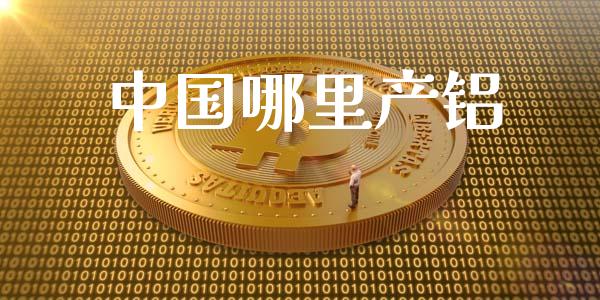 中国哪里产铝_https://m.jnlaobingbanjia.com_全球市场_第1张