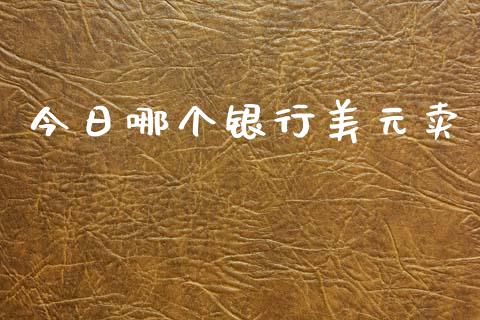 今日哪个银行美元卖_https://m.jnlaobingbanjia.com_基金市场_第1张