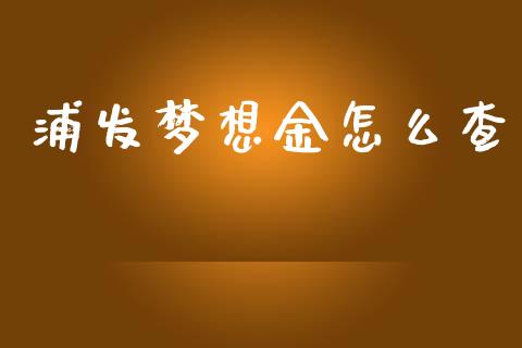浦发梦想金怎么查_https://m.jnlaobingbanjia.com_基金市场_第1张