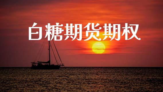 白糖期货期权_https://m.jnlaobingbanjia.com_基金市场_第1张