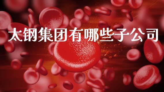 太钢集团有哪些子公司_基金市场_第1张_全球市场_股市新闻_理财规划_金融监管_区块链_基金市场 太钢集团有哪些子公司_https://m.jnlaobingbanjia.com_基金市场_第1张