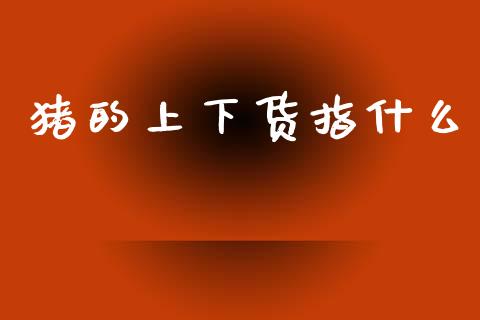 猪的上下货指什么_https://m.jnlaobingbanjia.com_金融监管_第1张