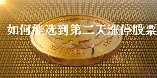 如何能选到第二天涨停股票_https://m.jnlaobingbanjia.com_全球市场_第1张