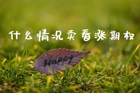 什么情况卖看涨期权_https://m.jnlaobingbanjia.com_理财规划_第1张