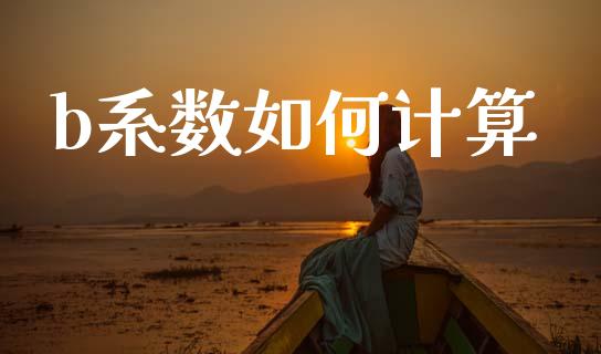 b系数如何计算_https://m.jnlaobingbanjia.com_股市新闻_第1张