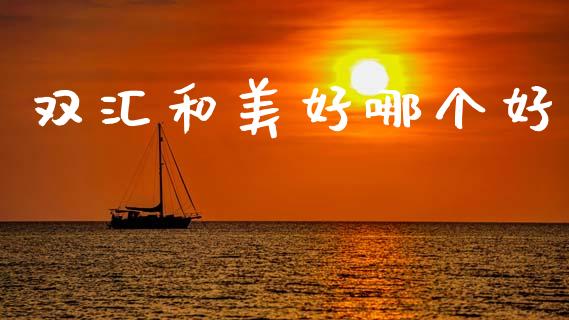 双汇和美好哪个好_https://m.jnlaobingbanjia.com_全球市场_第1张