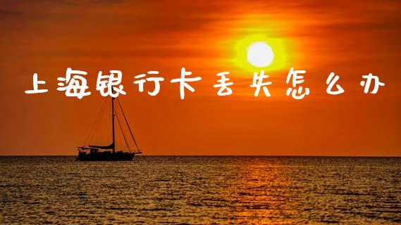 上海银行卡丢失怎么办_https://m.jnlaobingbanjia.com_区块链_第1张