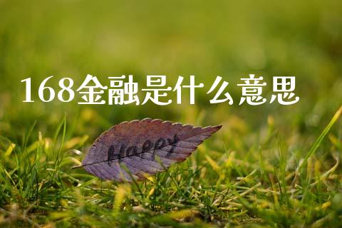 168金融是什么意思_https://m.jnlaobingbanjia.com_金融监管_第1张