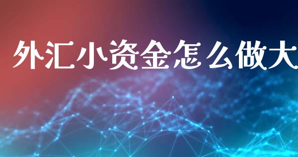 外汇小资金怎么做大_https://m.jnlaobingbanjia.com_理财规划_第1张