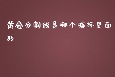 黄金分割线是哪个指标里面的_https://m.jnlaobingbanjia.com_股市新闻_第1张