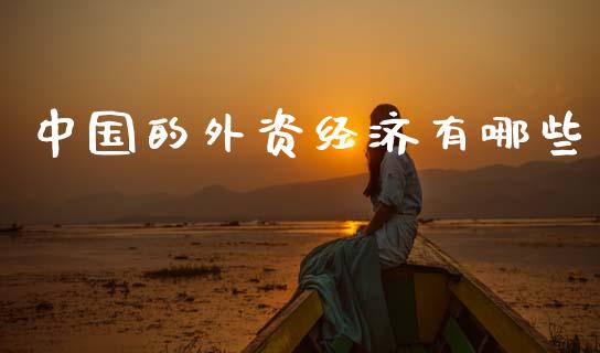 中国的外资经济有哪些_https://m.jnlaobingbanjia.com_区块链_第1张