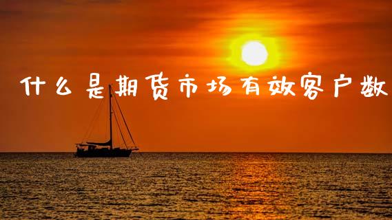 什么是期货市场有效客户数_https://m.jnlaobingbanjia.com_股市新闻_第1张