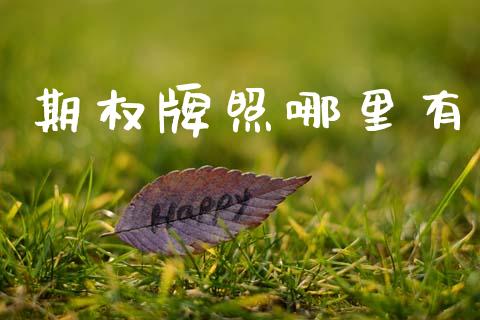 期权牌照哪里有_https://m.jnlaobingbanjia.com_股市新闻_第1张