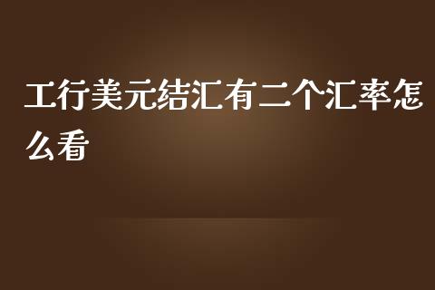 工行美元结汇有二个汇率怎么看_https://m.jnlaobingbanjia.com_区块链_第1张