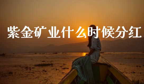紫金矿业什么时候分红_https://m.jnlaobingbanjia.com_全球市场_第1张