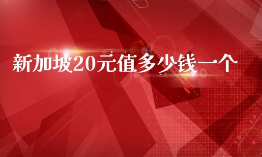新加坡20元值多少钱一个_https://m.jnlaobingbanjia.com_基金市场_第1张
