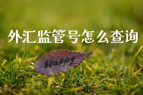 外汇监管号怎么查询_https://m.jnlaobingbanjia.com_基金市场_第1张