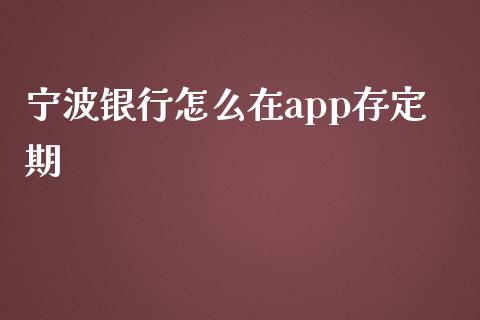 宁波银行怎么在app存定期_https://m.jnlaobingbanjia.com_金融监管_第1张