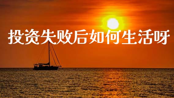 投资失败后如何生活呀_https://m.jnlaobingbanjia.com_金融监管_第1张