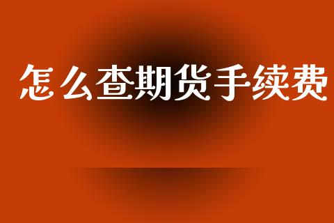 怎么查期货手续费_https://m.jnlaobingbanjia.com_金融监管_第1张