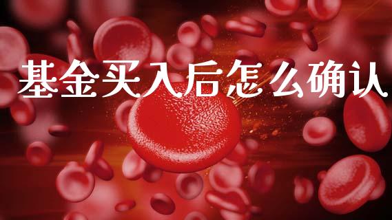 基金买入后怎么确认_https://m.jnlaobingbanjia.com_基金市场_第1张