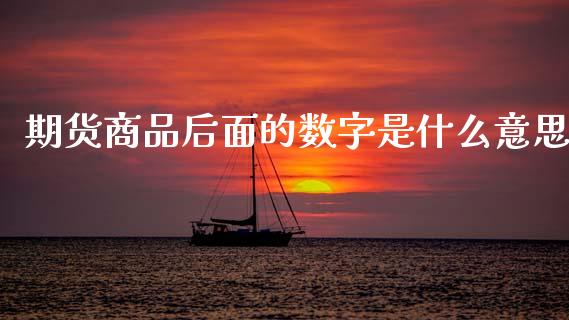 期货商品后面的数字是什么意思_https://m.jnlaobingbanjia.com_金融监管_第1张