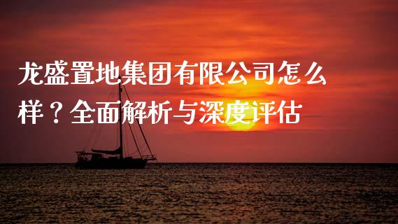龙盛置地集团有限公司怎么样？全面解析与深度评估_https://m.jnlaobingbanjia.com_理财规划_第1张