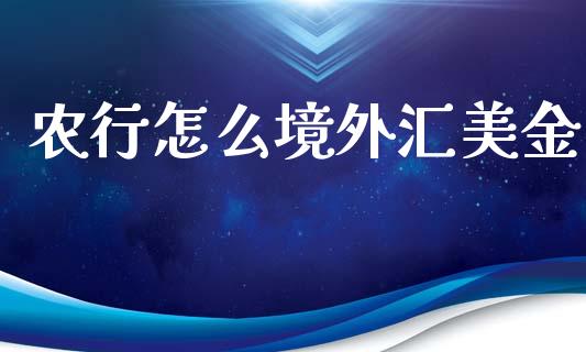 农行怎么境外汇美金_https://m.jnlaobingbanjia.com_股市新闻_第1张
