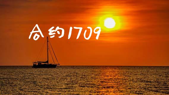 合约1709_https://m.jnlaobingbanjia.com_区块链_第1张