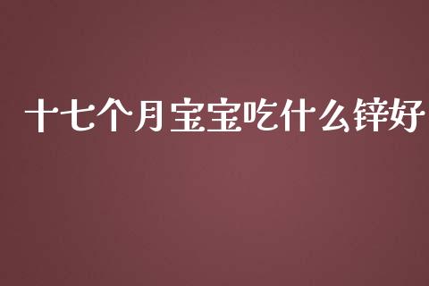 十七个月宝宝吃什么锌好_https://m.jnlaobingbanjia.com_理财规划_第1张